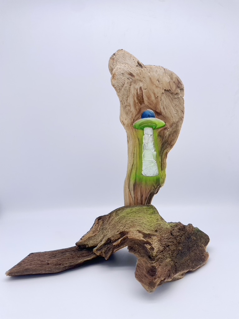 Lake Erie Driftwood Art